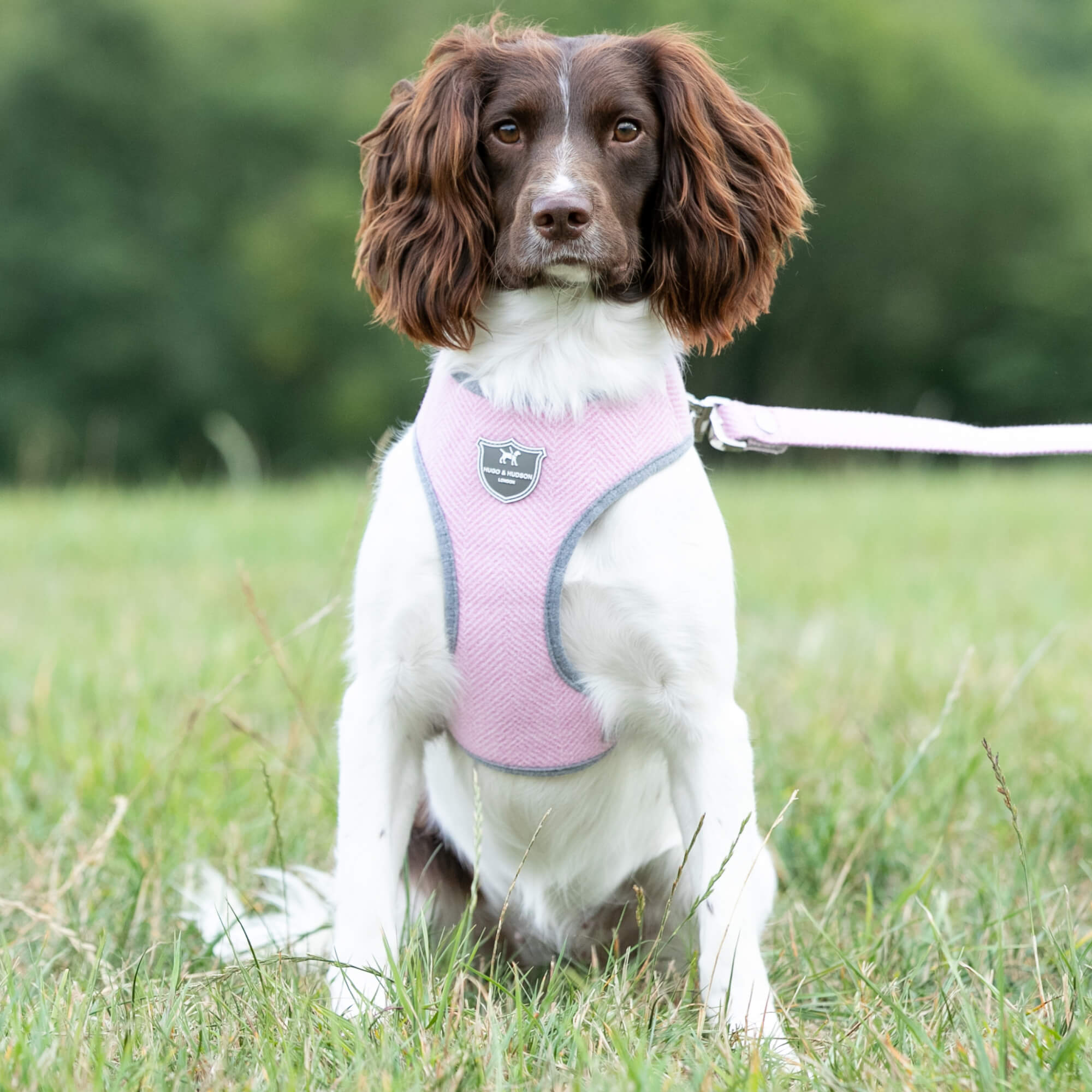 Pink Herringbone Tweed Dog Harness