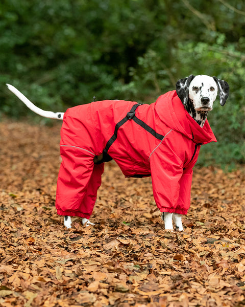 Dog snowsuit with store legs