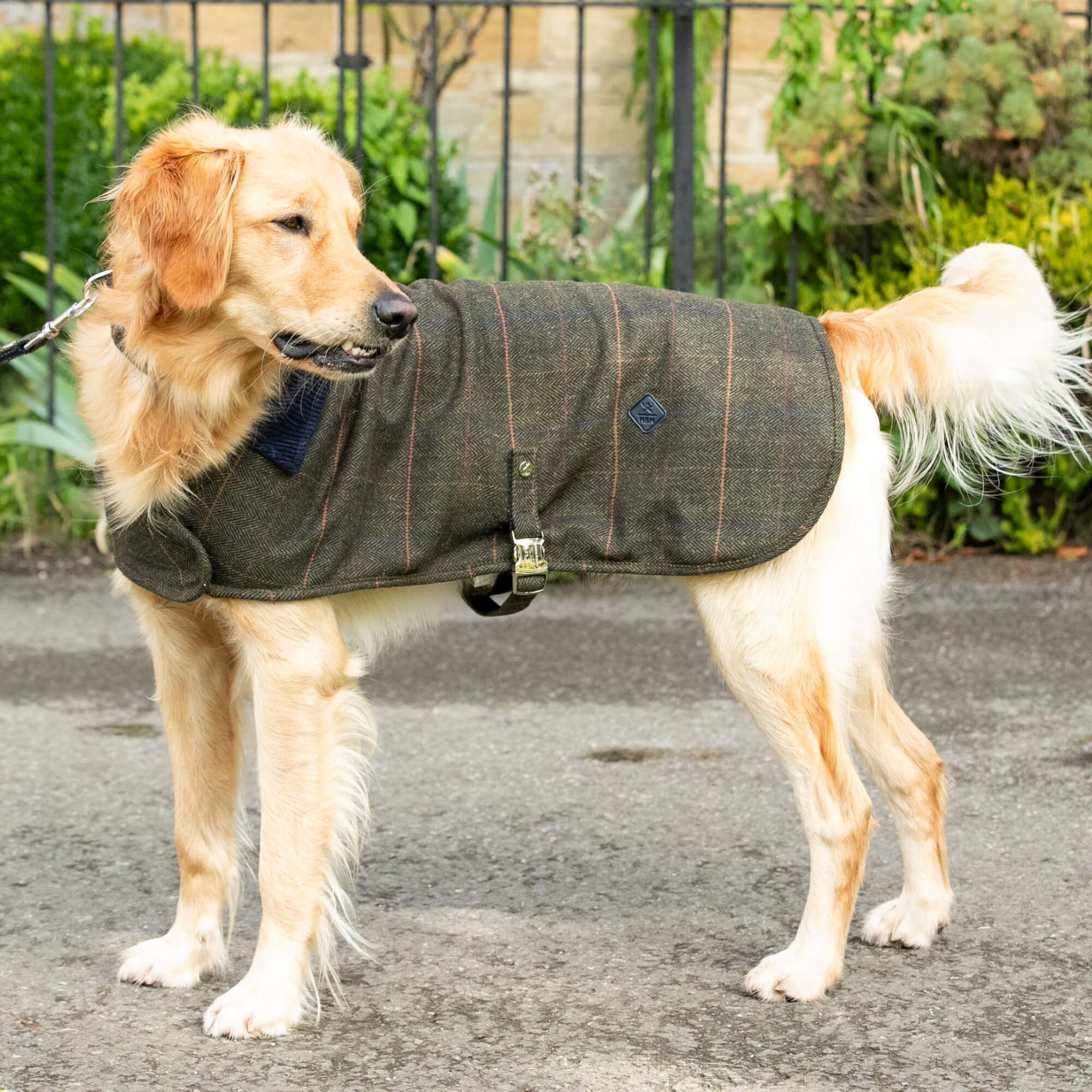 Dark Green Checked Herringbone Hackett Tweed Jacket