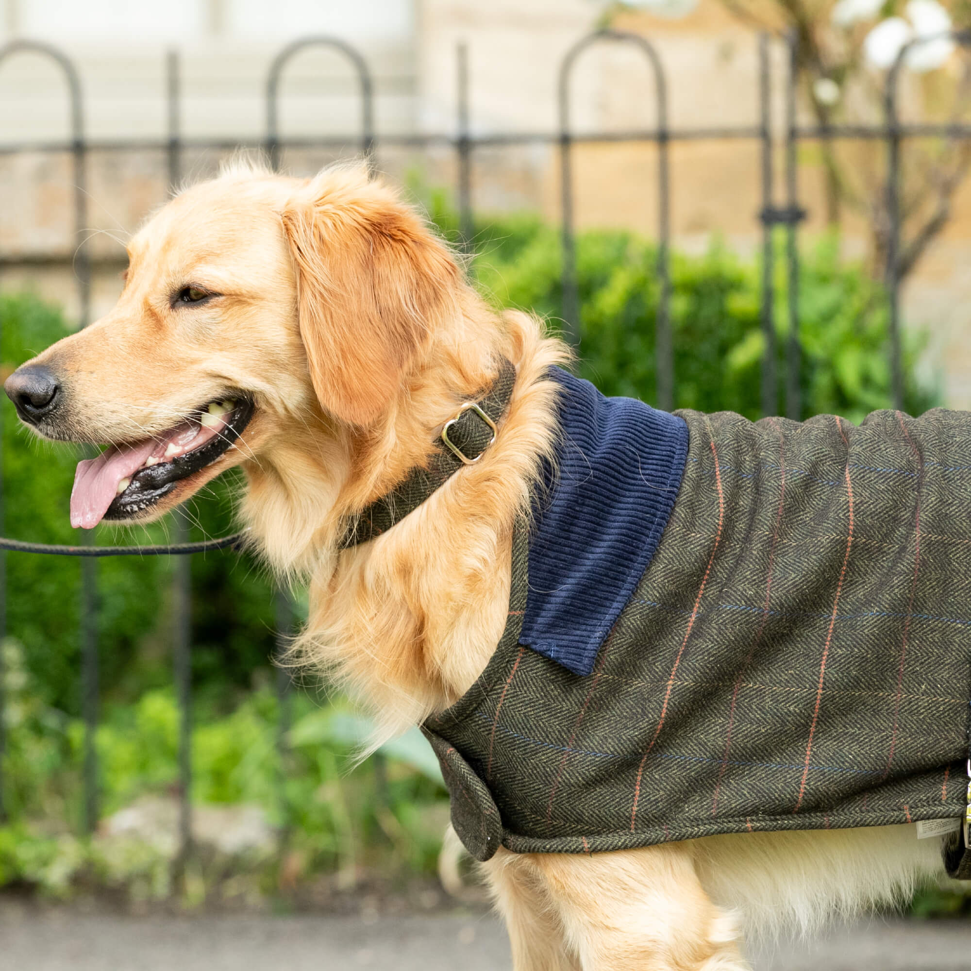 Dark Green Checked Herringbone Hackett Tweed Jacket