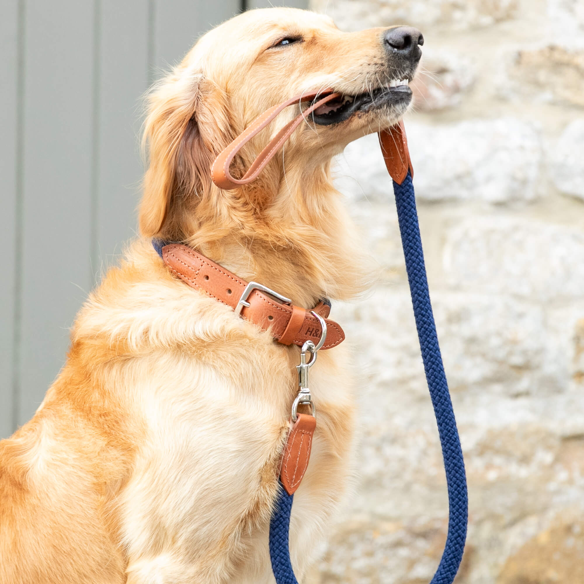 Navy Rope Hackett Leather Dog Lead