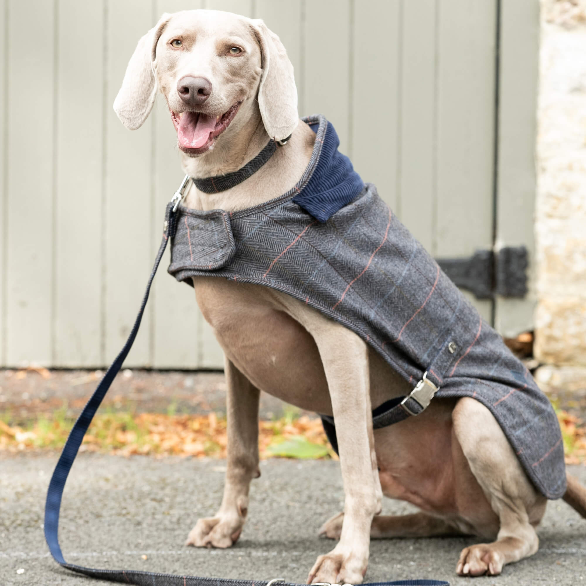 Grey Checked Herringbone Hackett Tweed Jacket