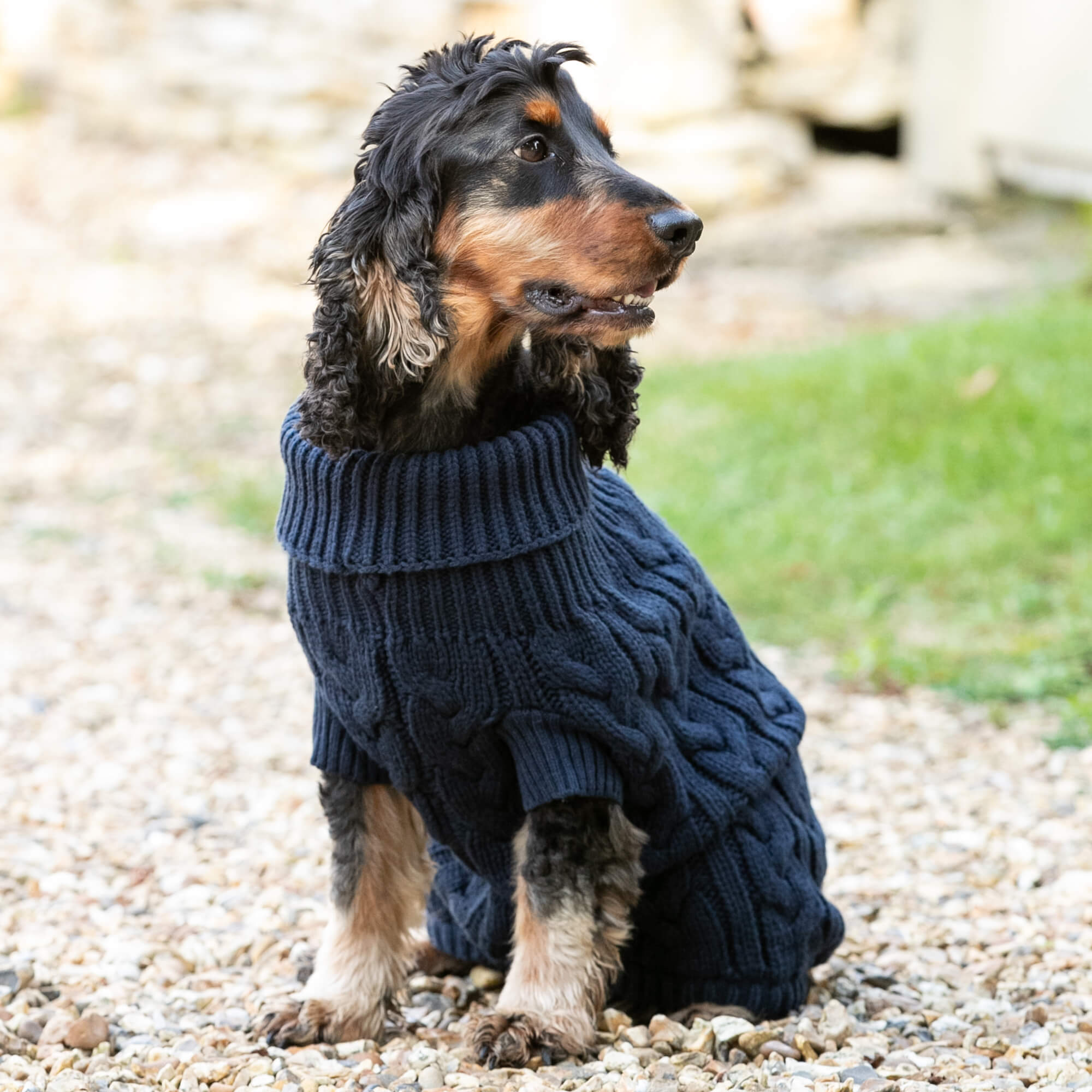 Navy Hackett Dog Jumper