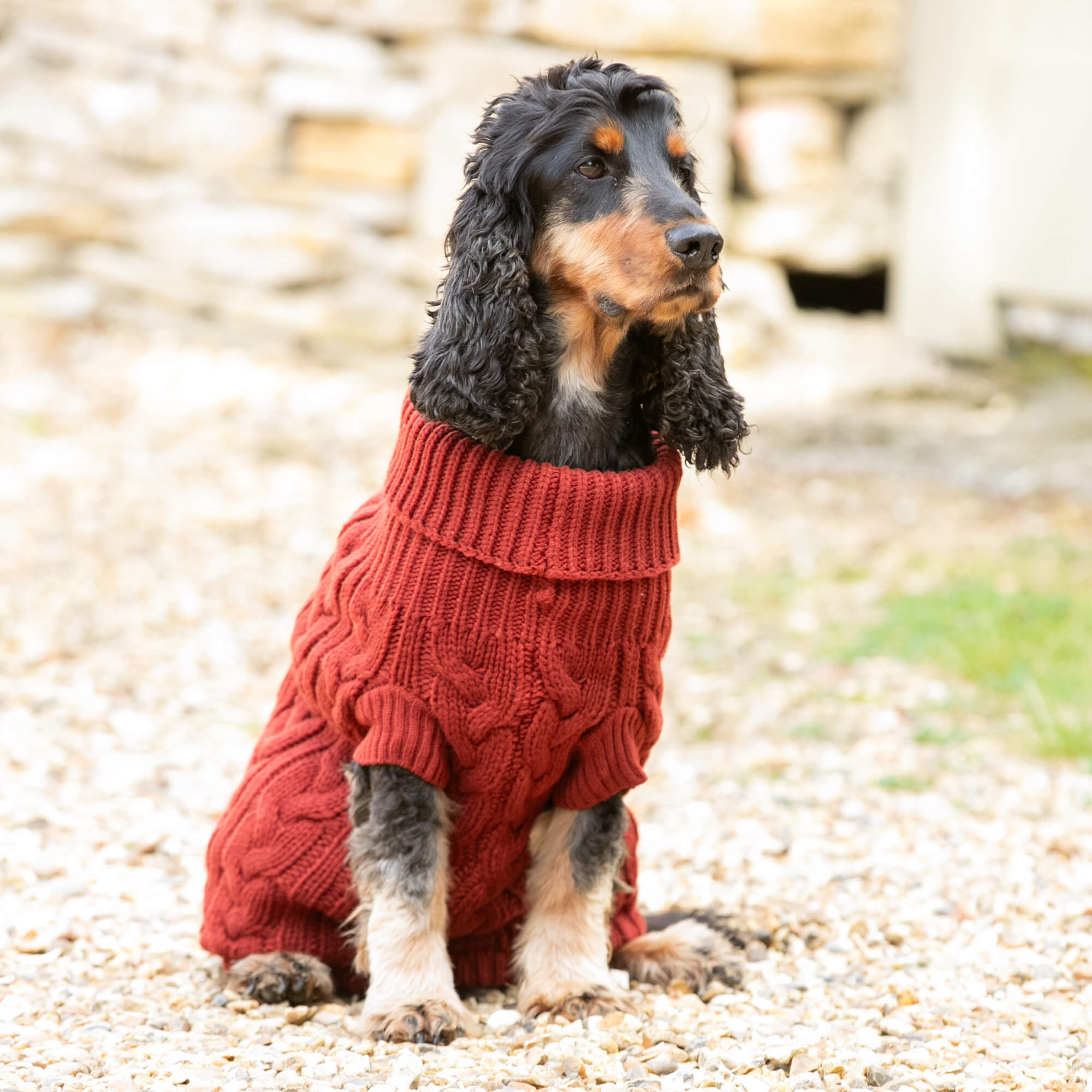 Brick Hackett Dog Jumper