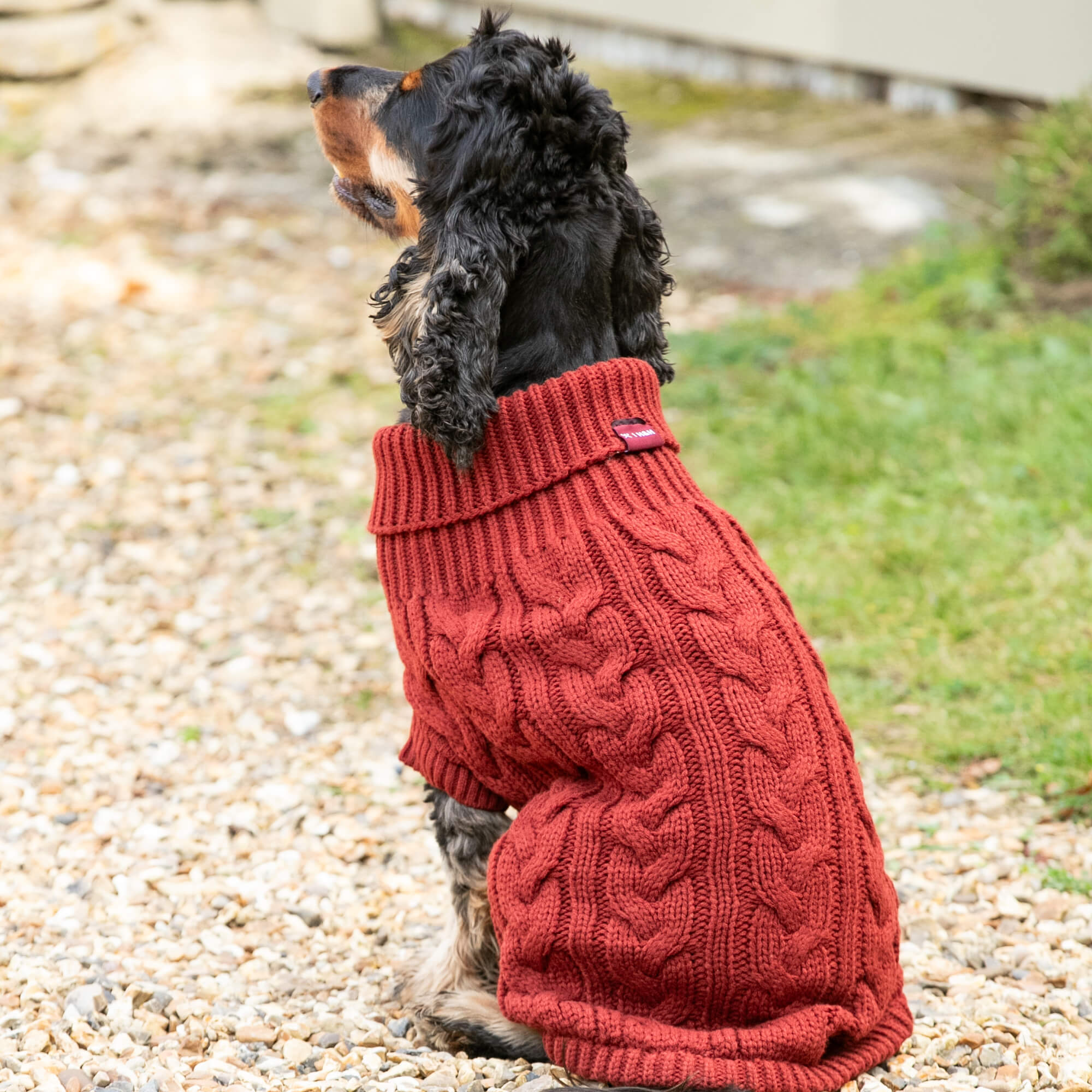 Brick Hackett Dog Jumper