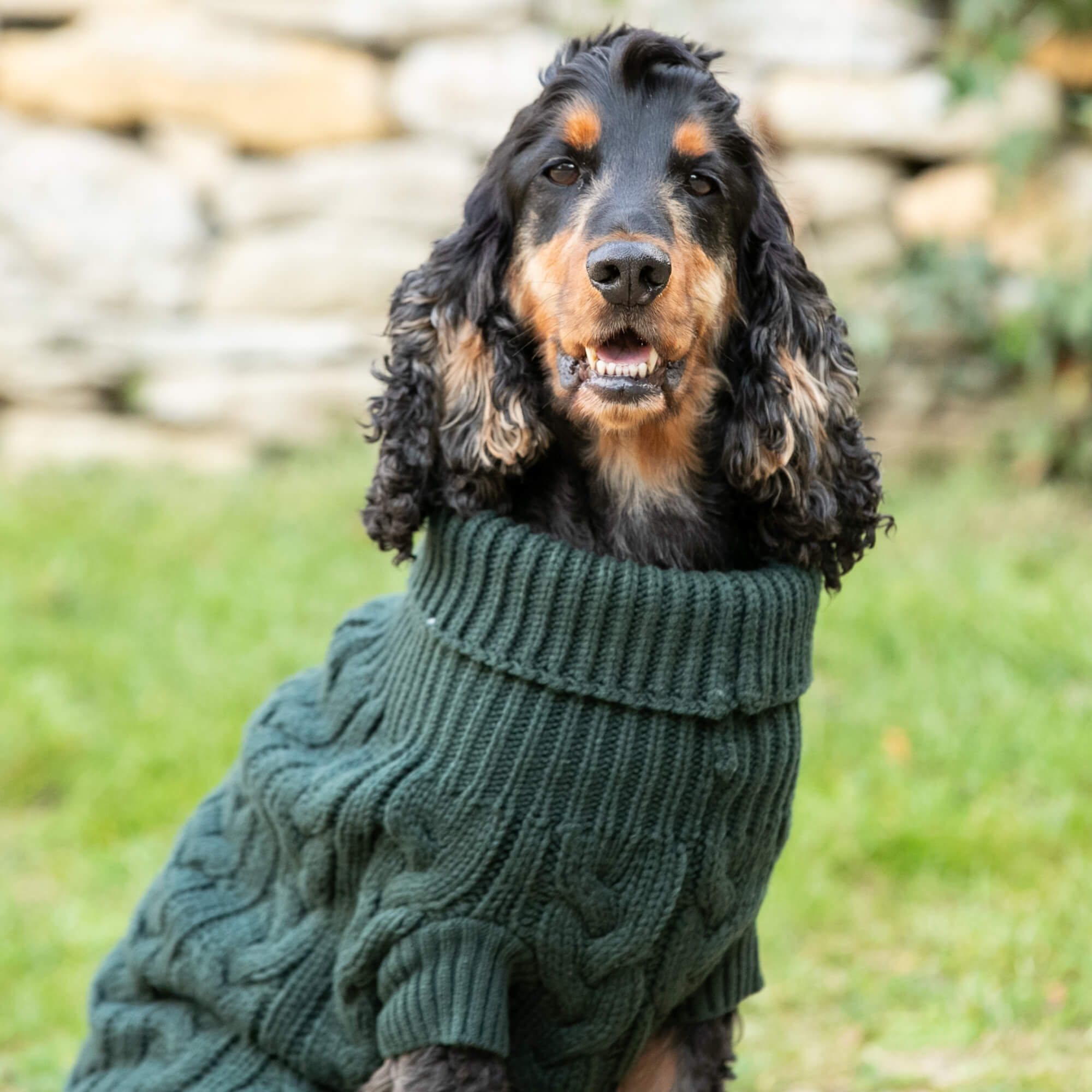 Cable knit dog sweater hotsell