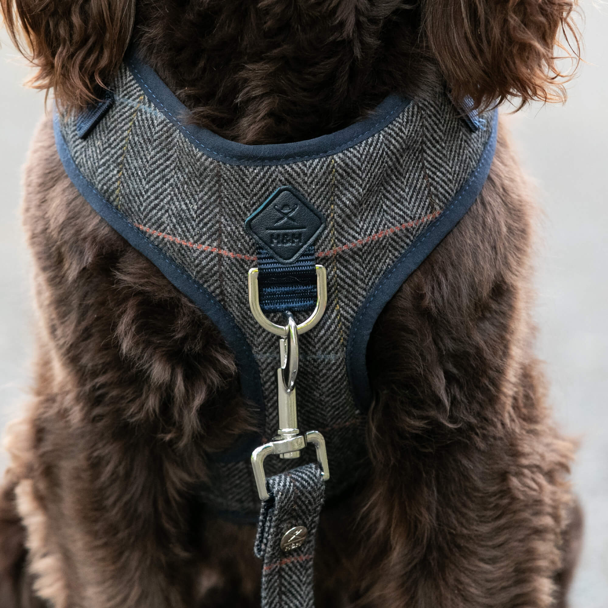 Grey Checked Herringbone Tweed Dog Harness Hugo Hudson London