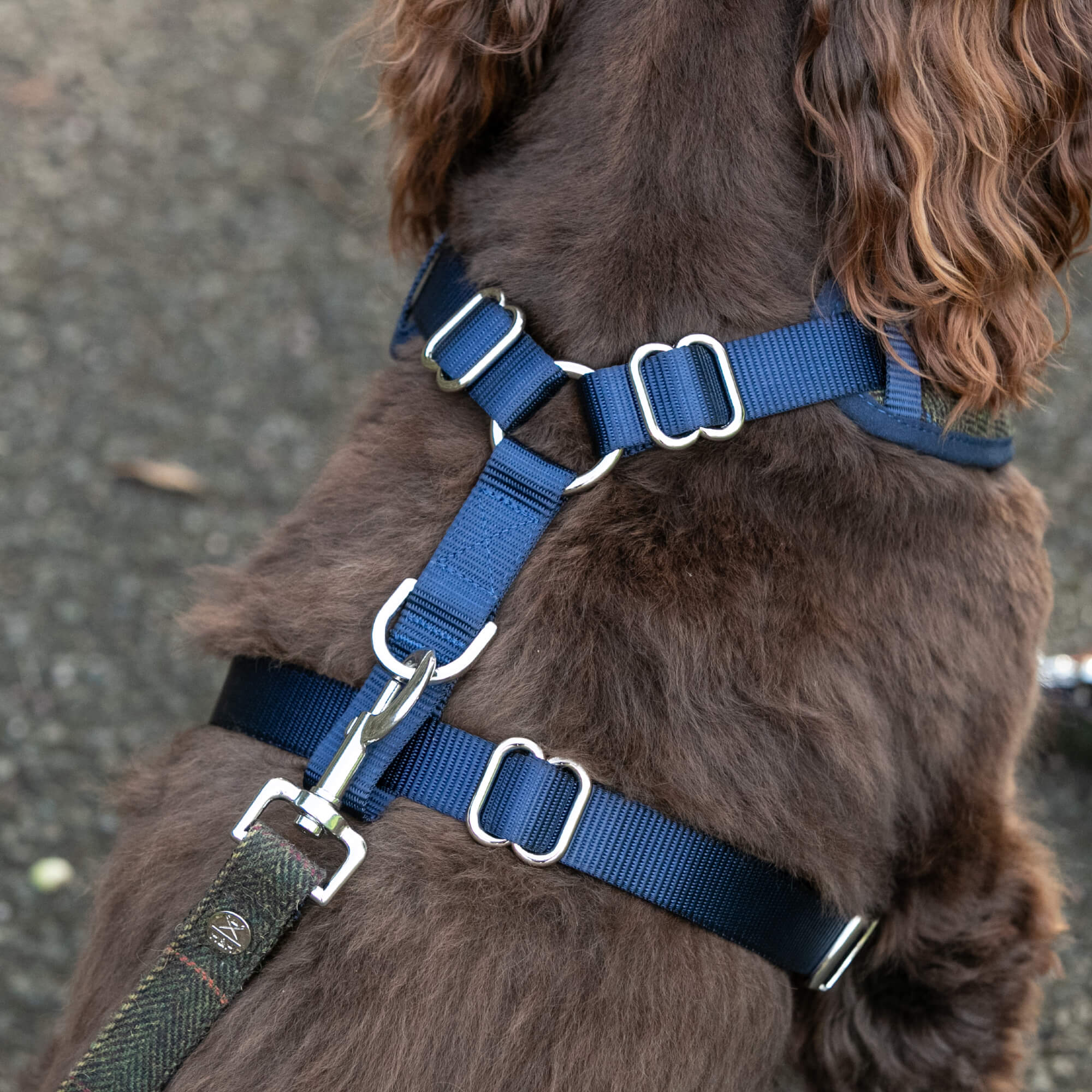 Dark Green Checked Herringbone Tweed Dog Harness