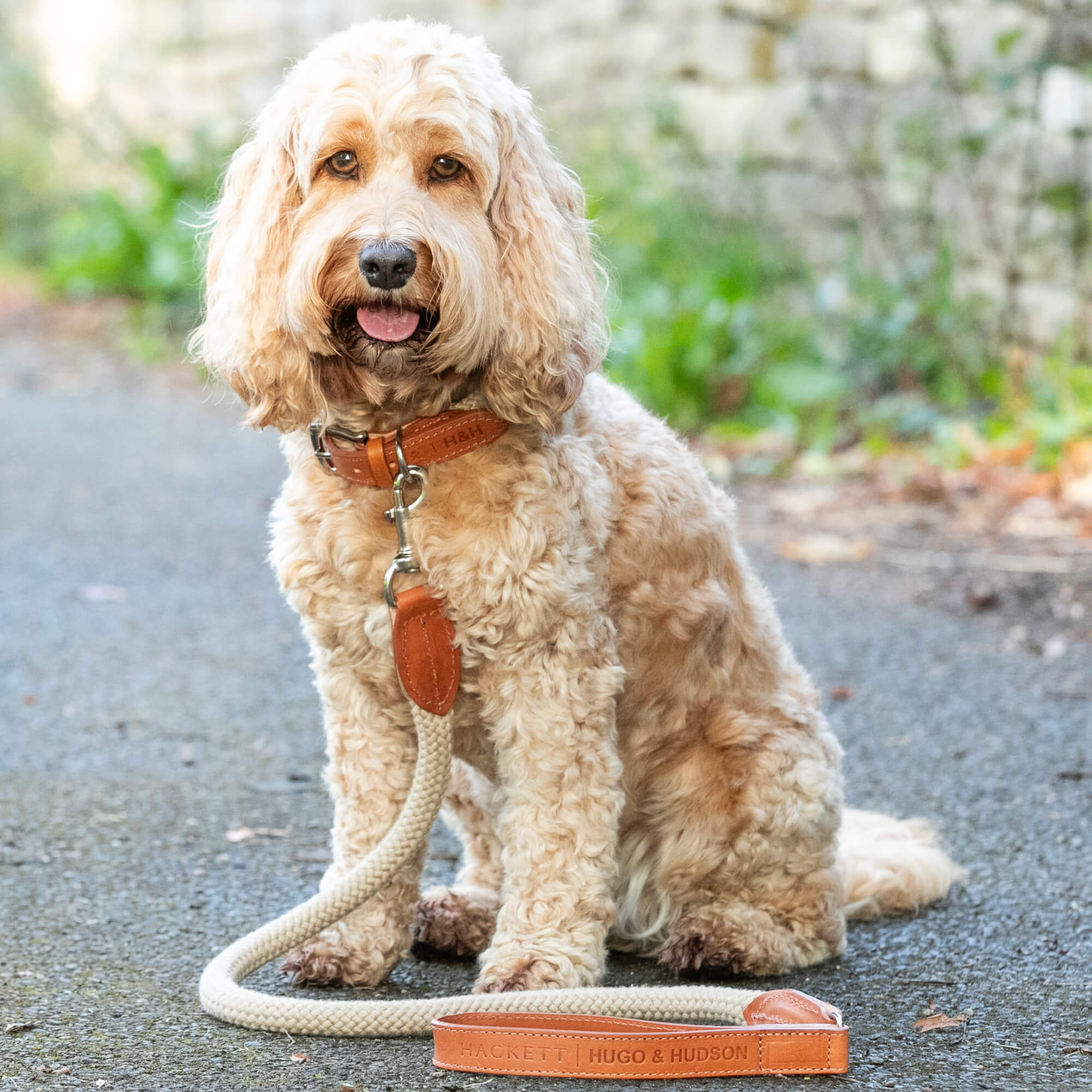 Natural Rope Hackett Leather Dog Lead