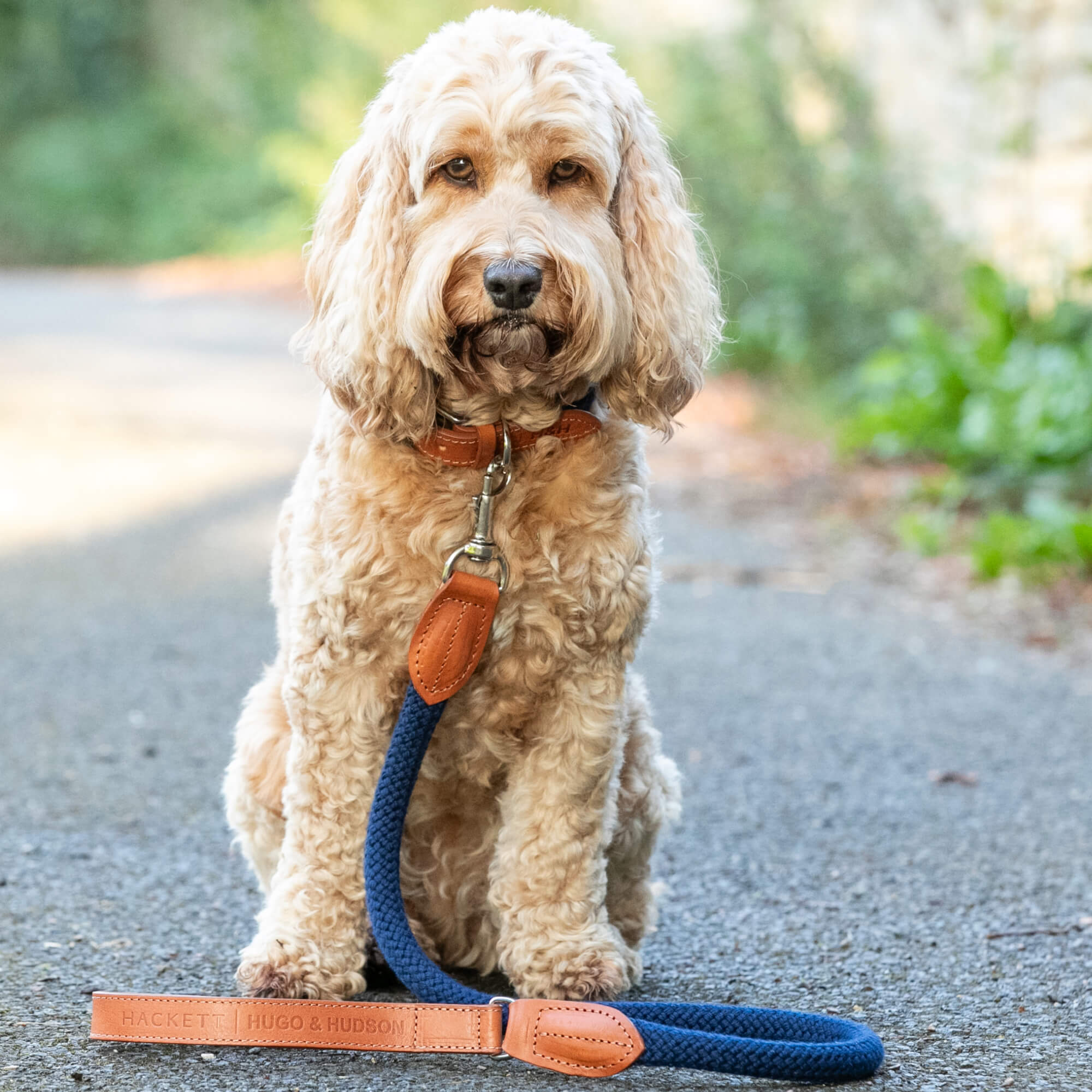 Navy Rope Hackett Leather Dog Lead