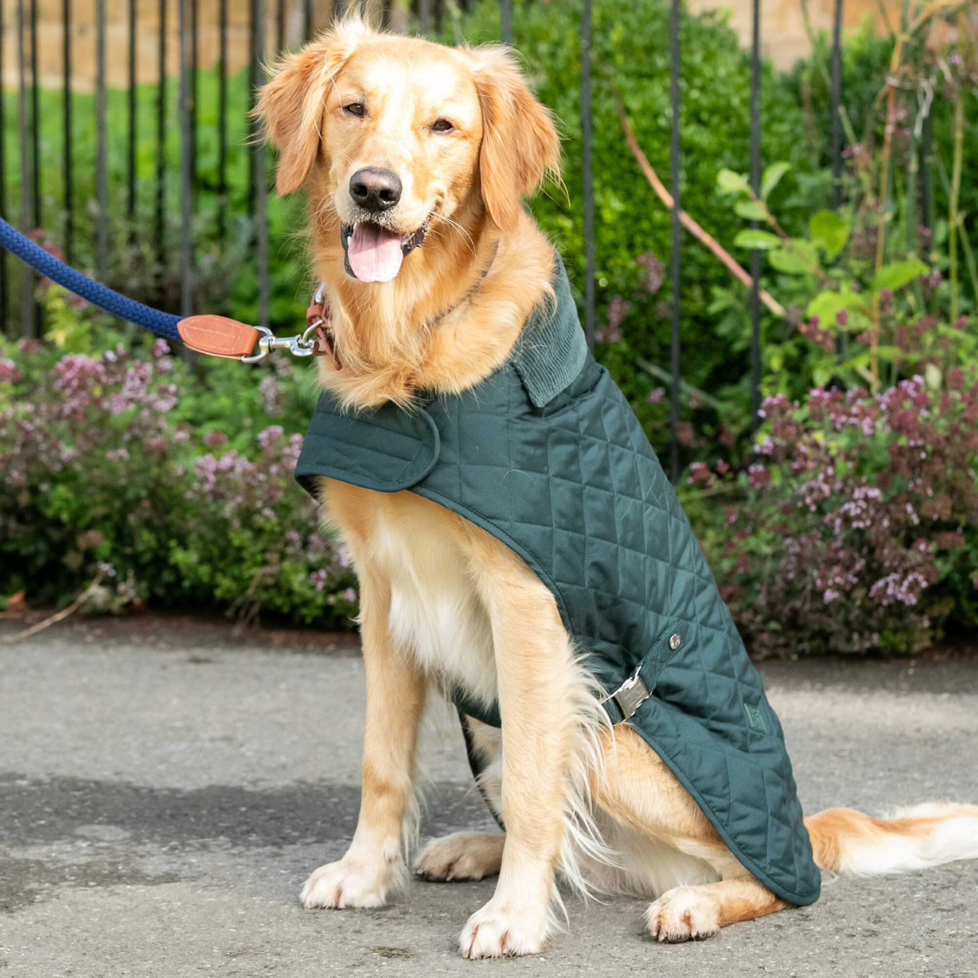 Green Hackett Quilted Dog Jacket