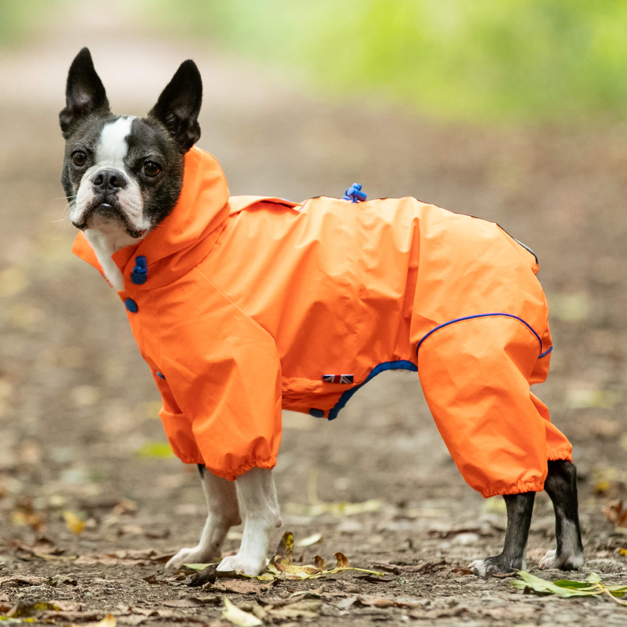 Orange Reflective Hooded Dog Overalls