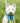 Fabric Dog Lead - Turquoise Star Lifestyle