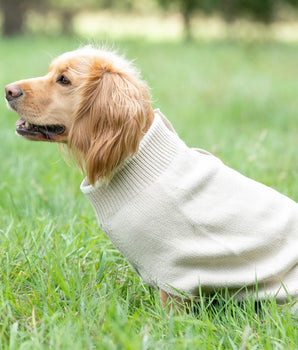 Knitted Dog Jumper - Beige Lifestyle