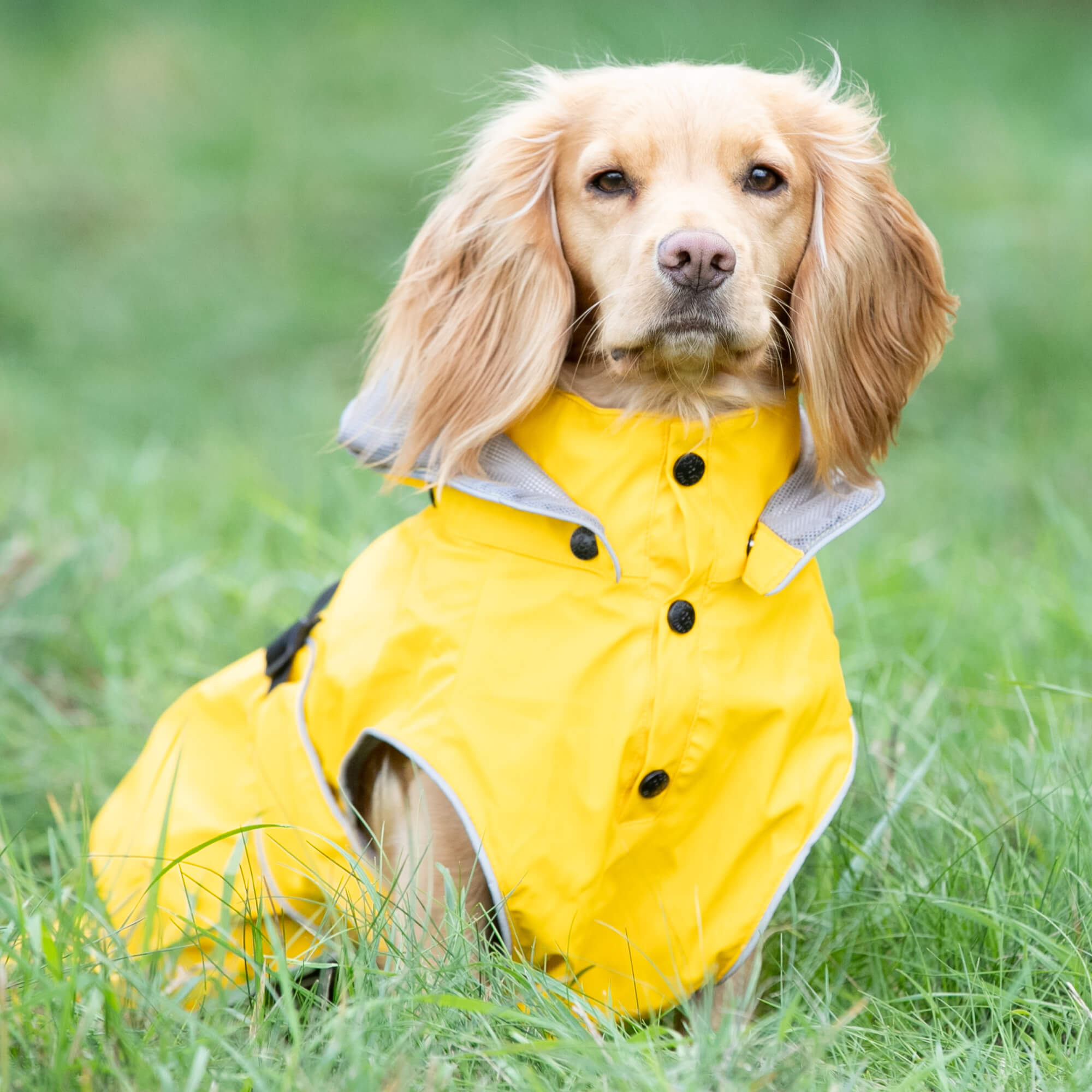 Yellow All Weather Raincoat