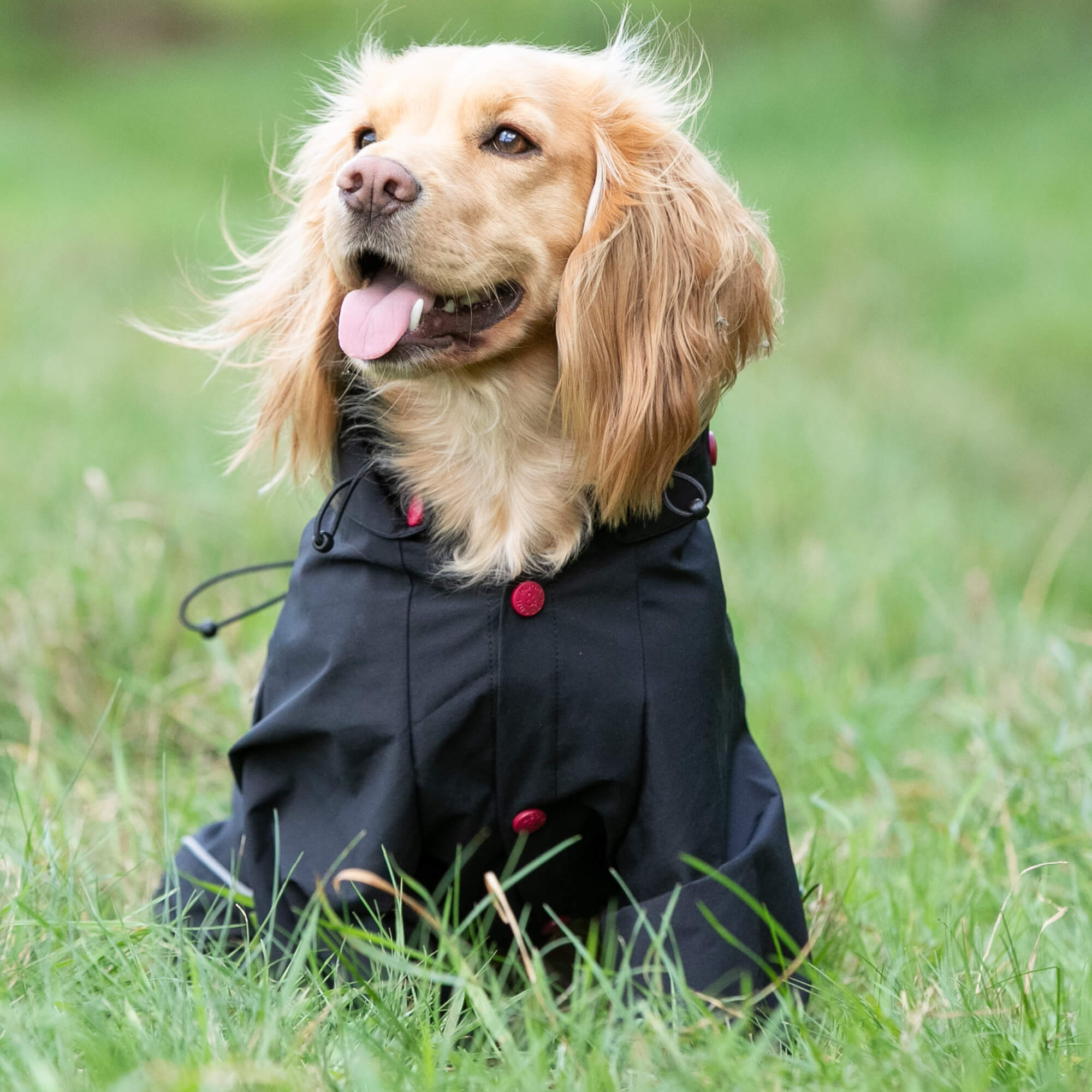 Black Reflective Hooded Dog Overalls