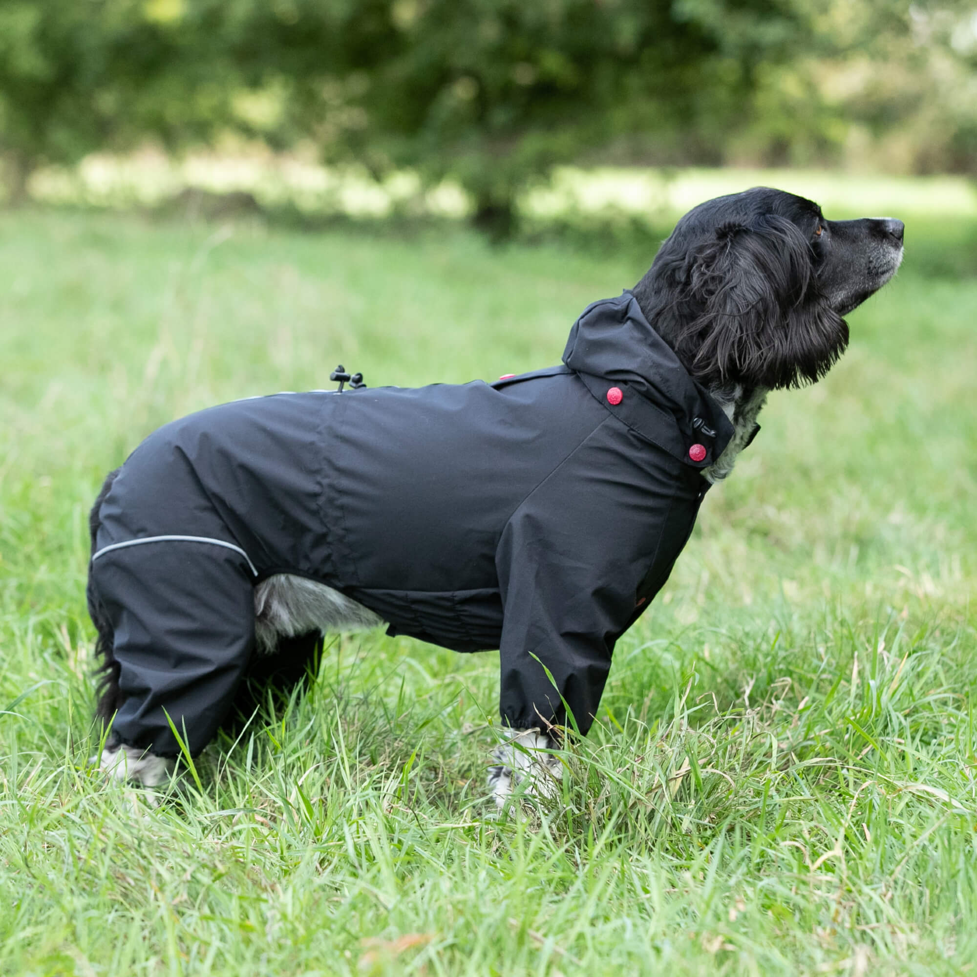 Black Reflective Hooded Dog Overalls