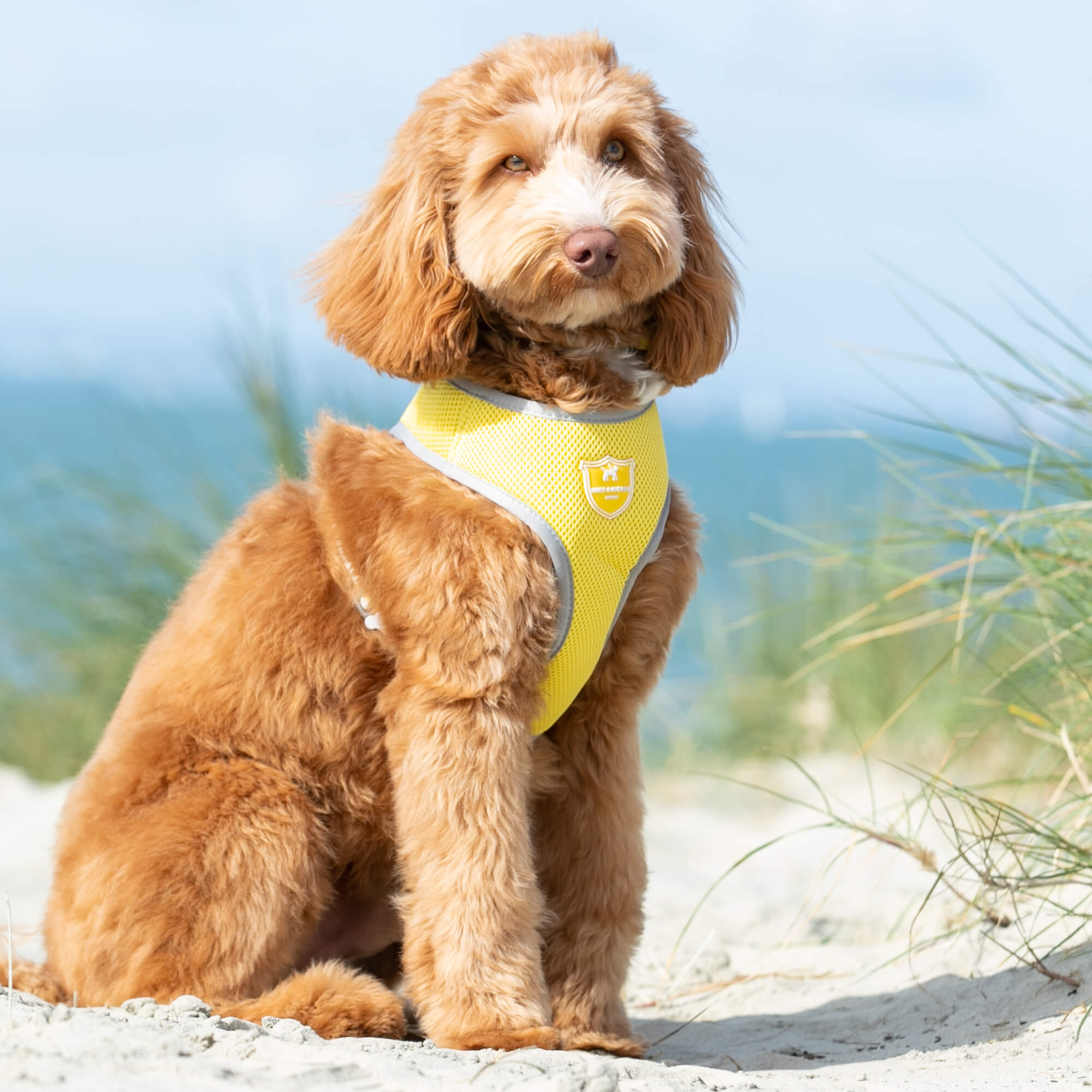 Yellow Mesh Dog Harness