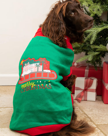 Christmas Dog Jumper - Santa's Sleigh Lifestyle