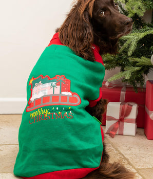 Christmas Dog Sweater - Santa's Sleigh Lifestyle