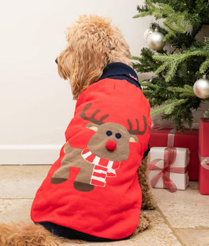 Christmas Dog Sweater - Reindeer Lifestyle