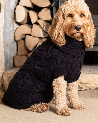 Cable Knit Dog Sweater - Navy Lifestyle