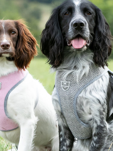 Tweed Dog Harness