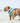 Fabric Dog Collar - Turquoise Star Lifestyle