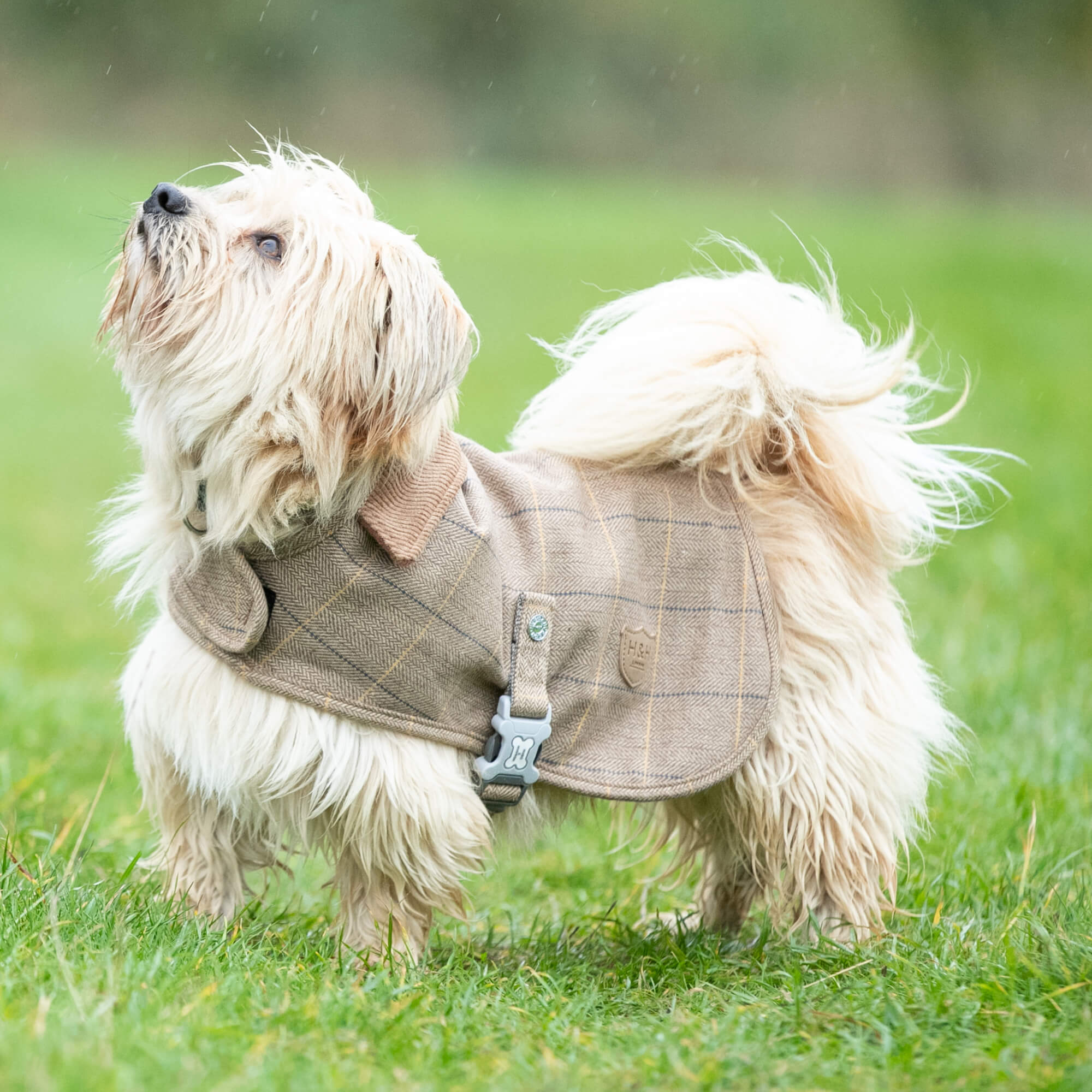 Caramel Checked Herringbone Tweed Jacket