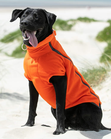 Cosy Warm Fleece Dog Jacket - Orange Lifestyle