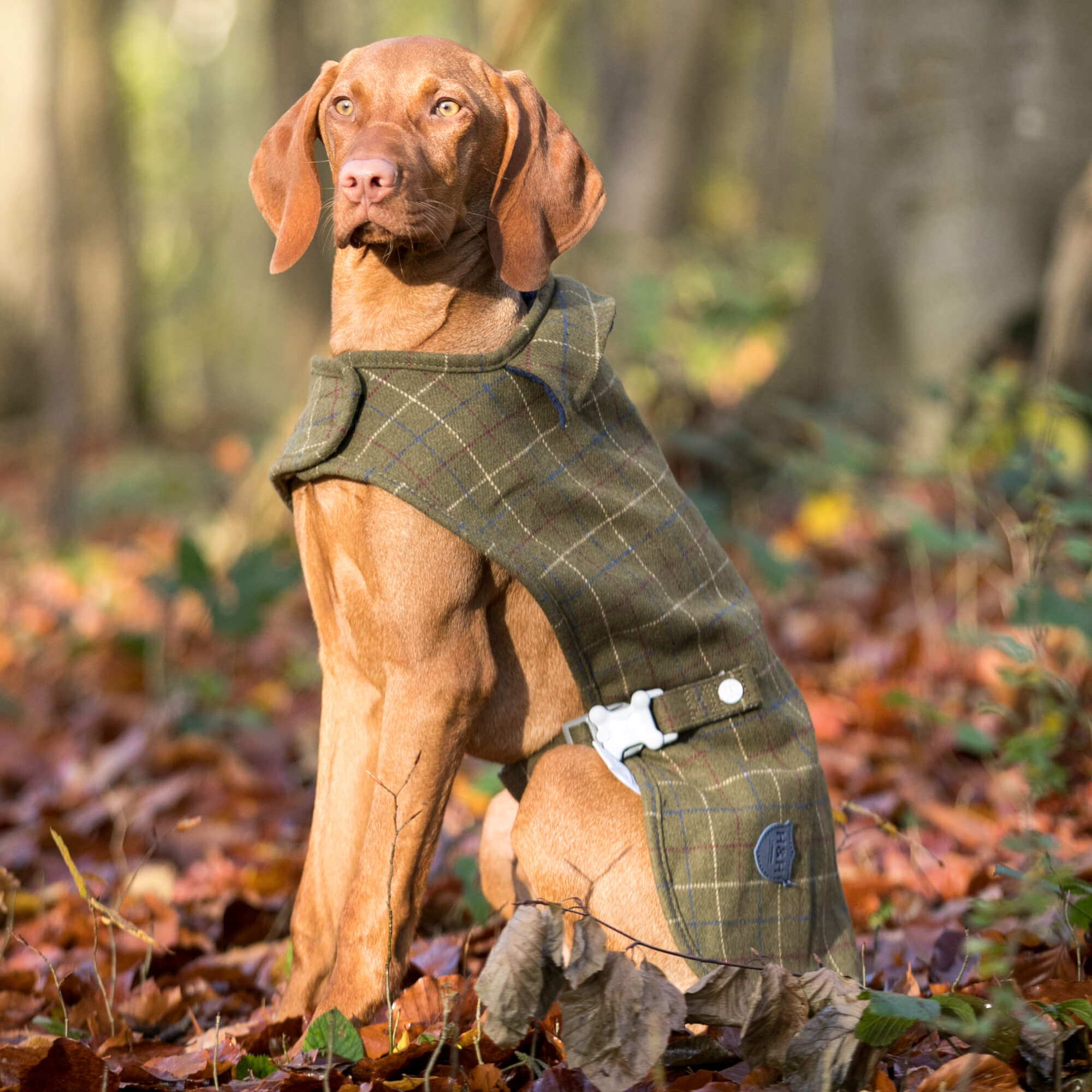 Tweed Fleece Dog Jacket Dark Green Checked Hugo Hudson London