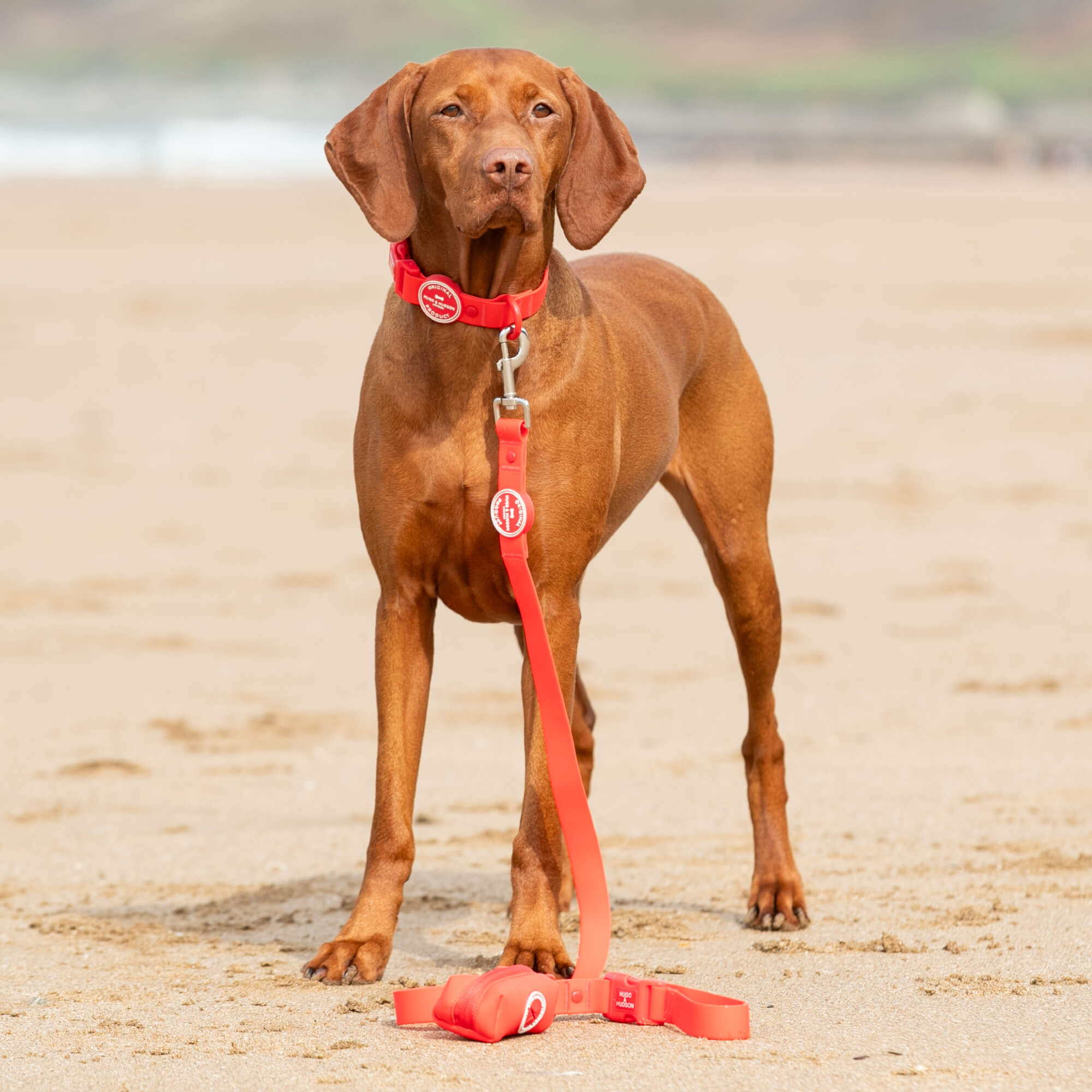 Red Poop Bag Holders