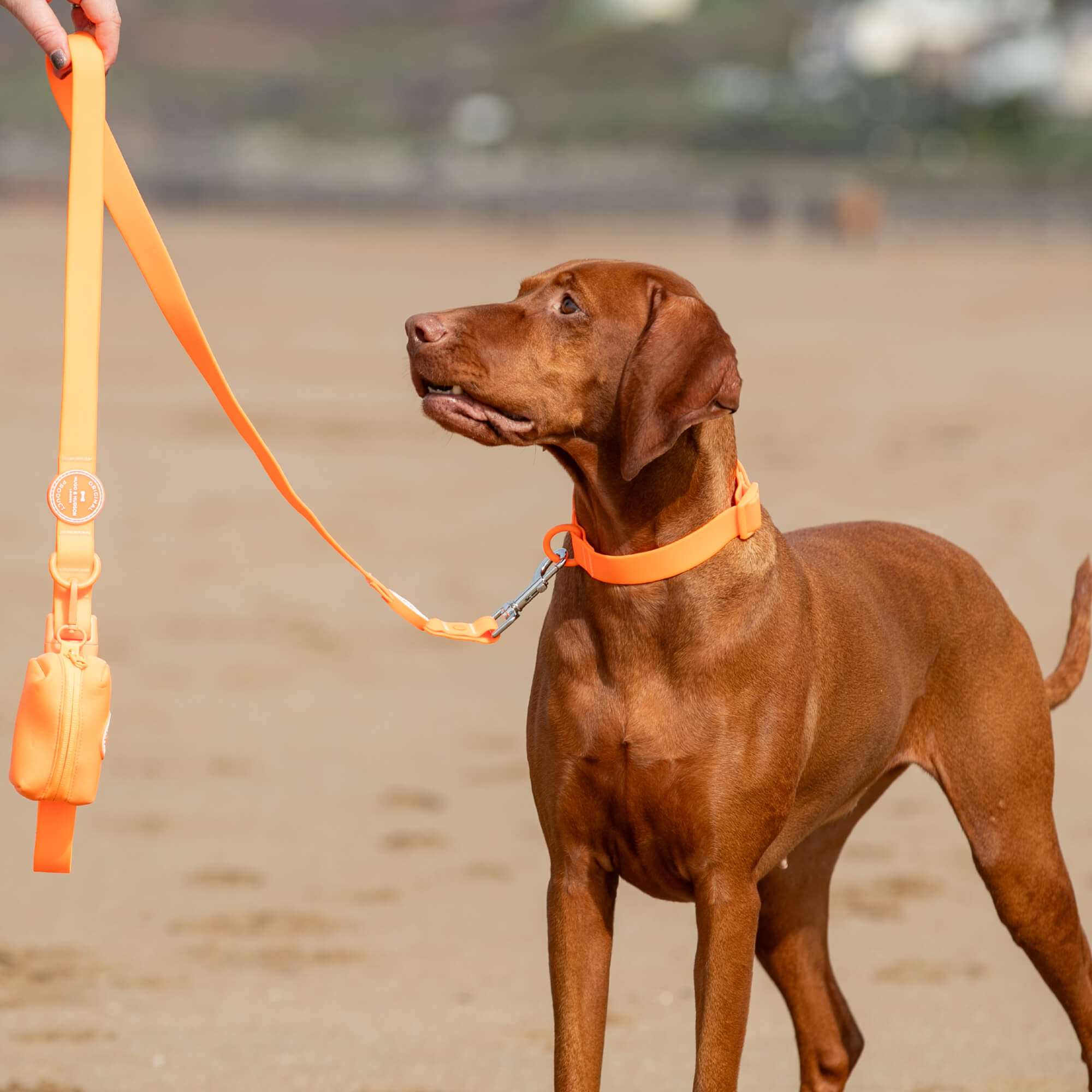 Orange Poop Bag Holders