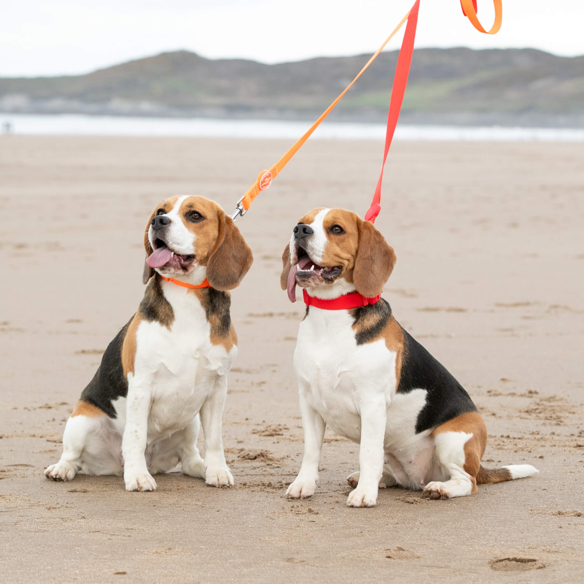 Red and Orange Waterproof Dog Lead