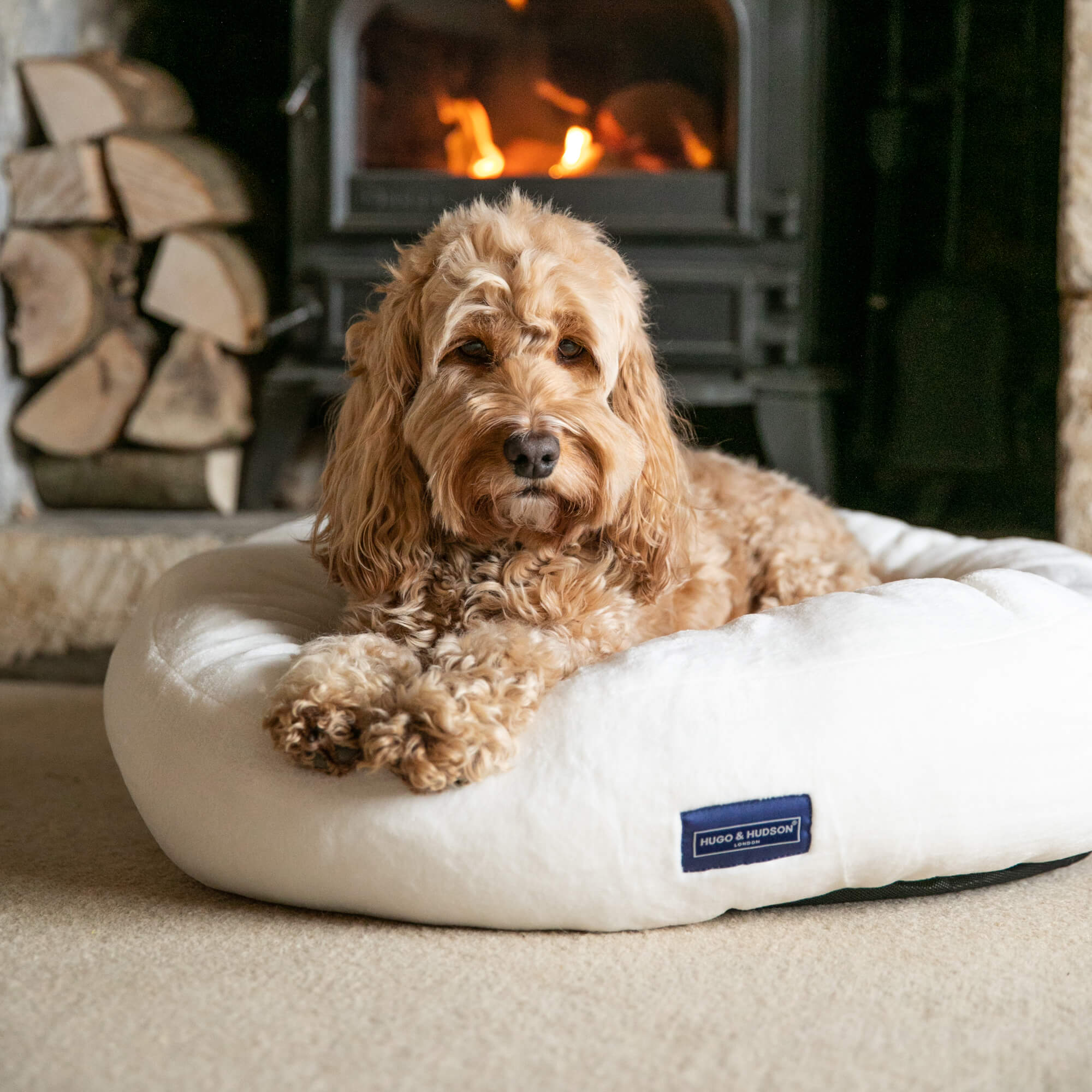 Creamy White Donut Dog Bed