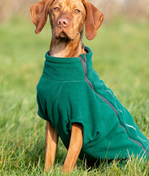 Cosy Warm Fleece Dog Jacket - Forest Green Lifestyle
