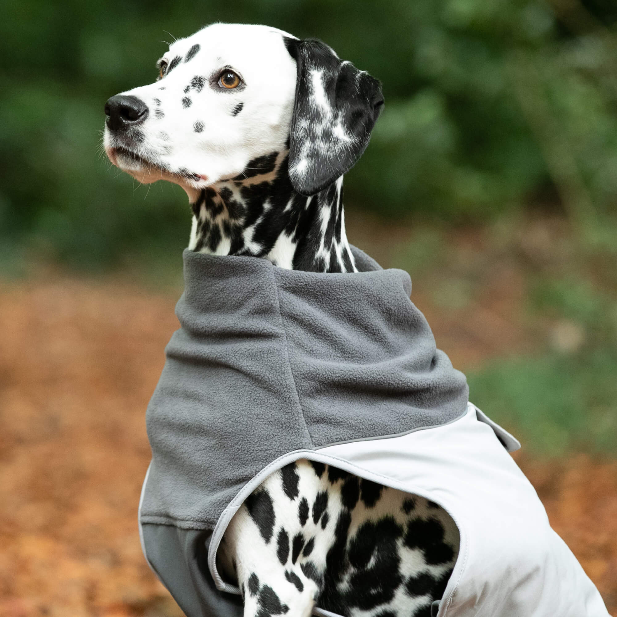 Grey Thermal Dog Jacket