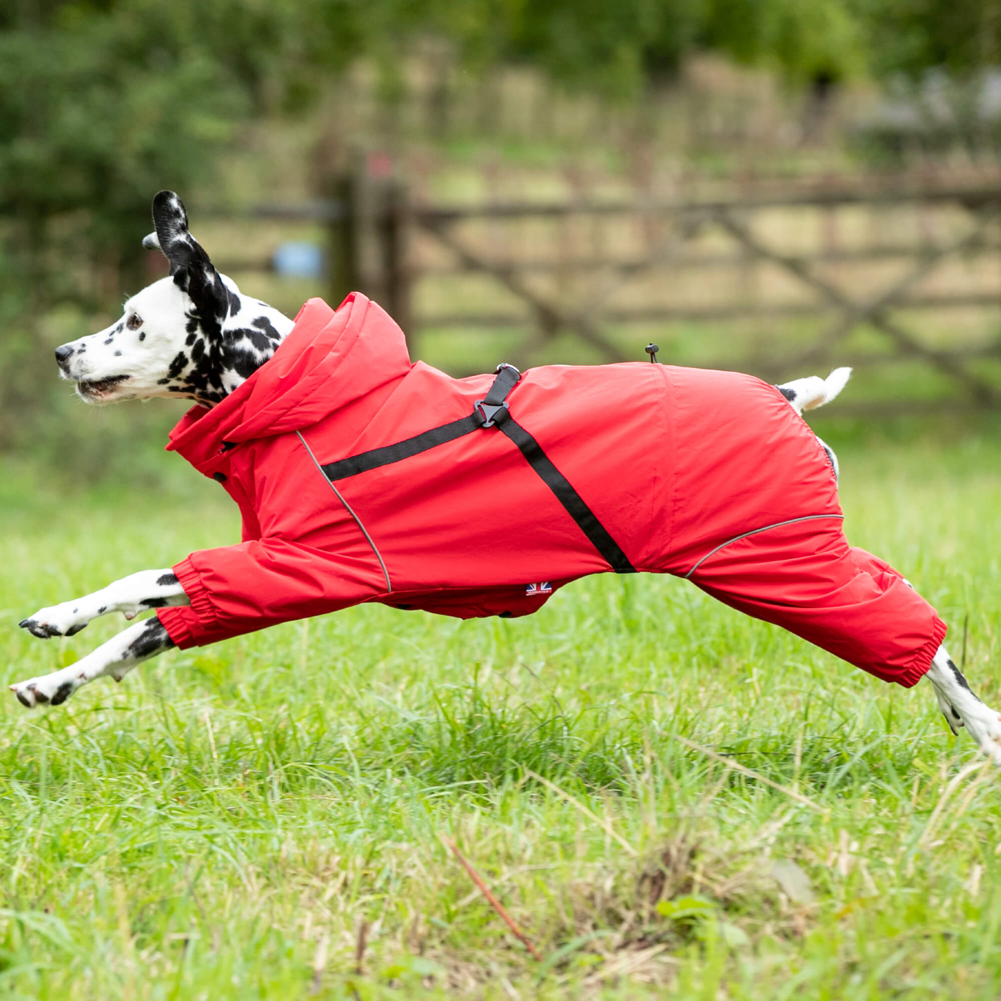 Winter Dog Snowsuit Red Hugo Hudson London