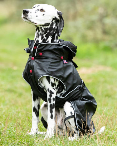All-weather Dog Raincoat - Black Lifestyle