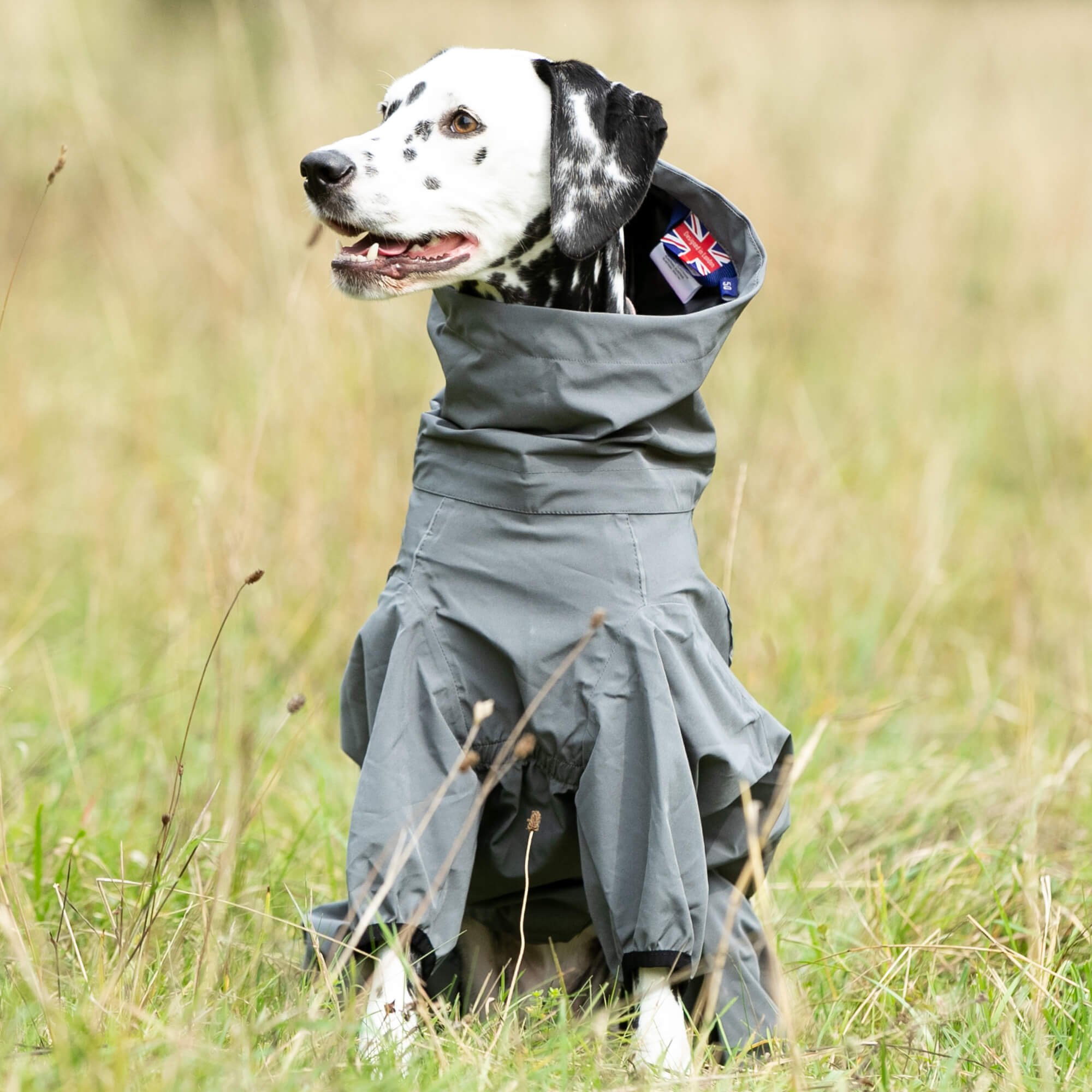 Grey Winter Dog Snowsuit