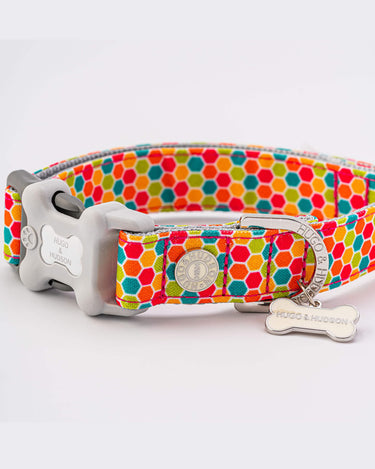 Fabric Dog Collar - Geometric Multi-color Close Up