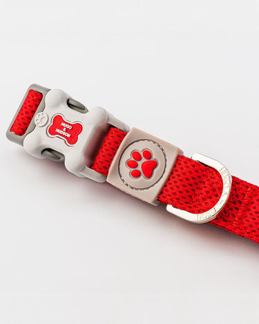 Mesh Dog Collar - Red Buckle