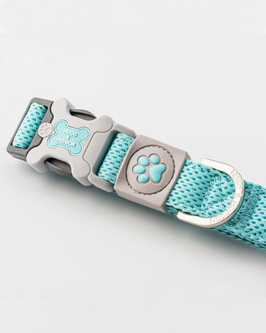 Mesh Dog Collar - Aqua Buckle