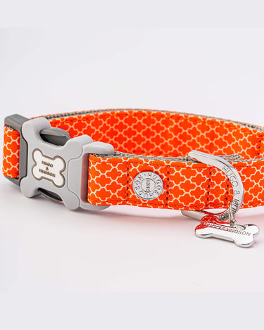 Fabric Dog Collar - Orange Geometric Close Up
