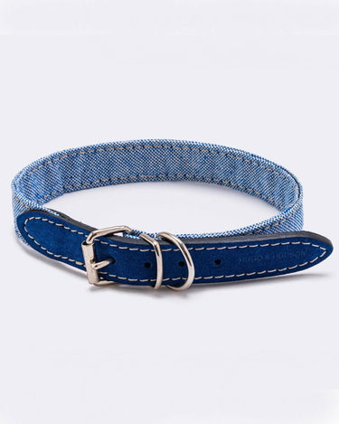 Fabric and Suede Leather Dog Collar - Blue Buckle