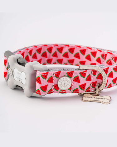 Fabric Dog Collar - Pink Watermelon Close Up