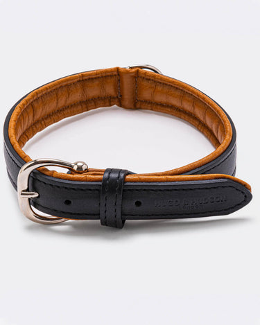 Padded Leather Dog Collar - Black and Brown Buckle