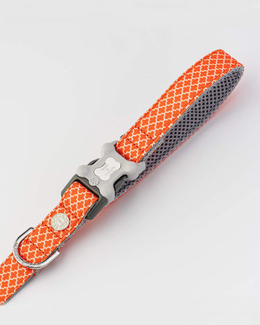 Fabric Dog Leash - Orange Geometric Buckle