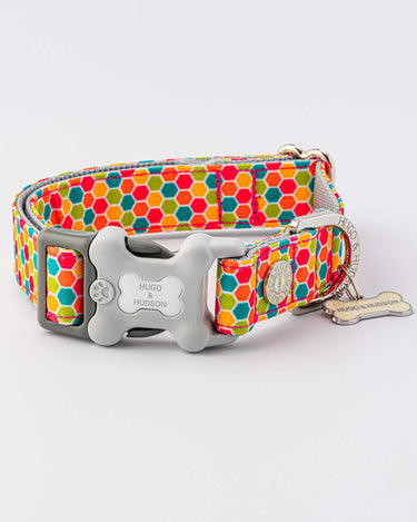 Fabric Dog Collar - Geometric Multi-color