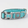 Mesh Dog Collar - Aqua